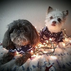 Meet your Posher, Kaycee